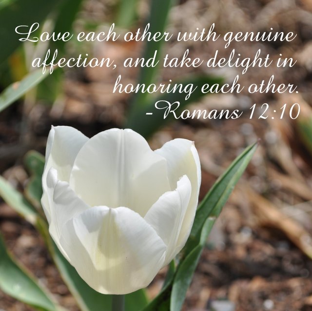 Words for Inspiration – Romans 10:12