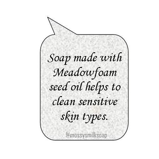 Just Sayin’… Meadowfoam Seed Oil
