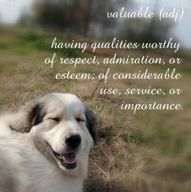 Words for Inspiration – Valuable