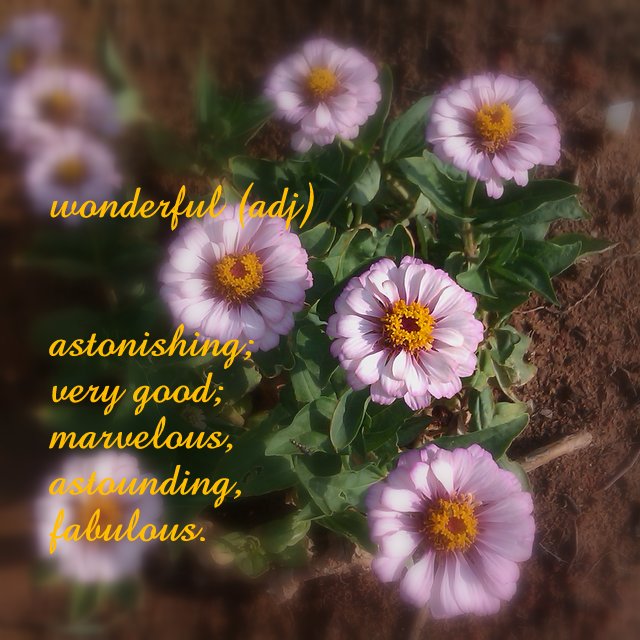 Words for Inspiration – Wonderful