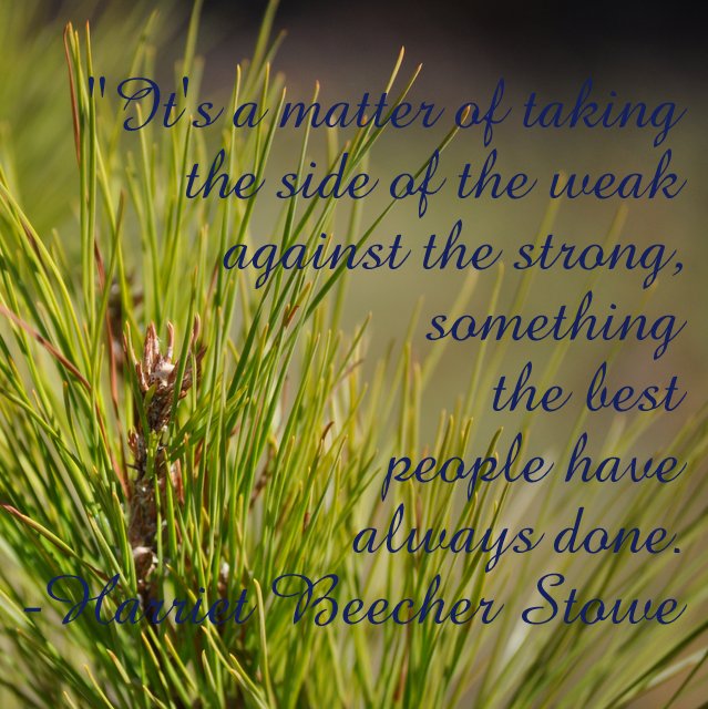 Words for Inspiration – Stowe Quote