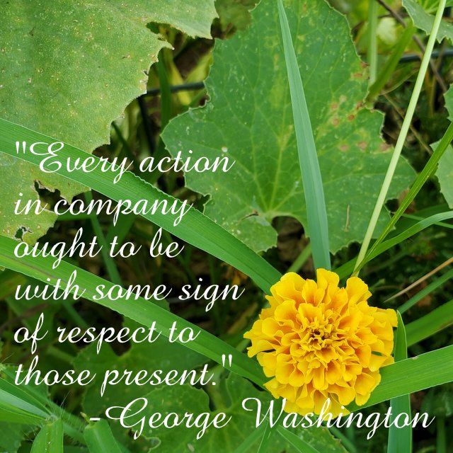 Words for Inspiration – Washington Quote