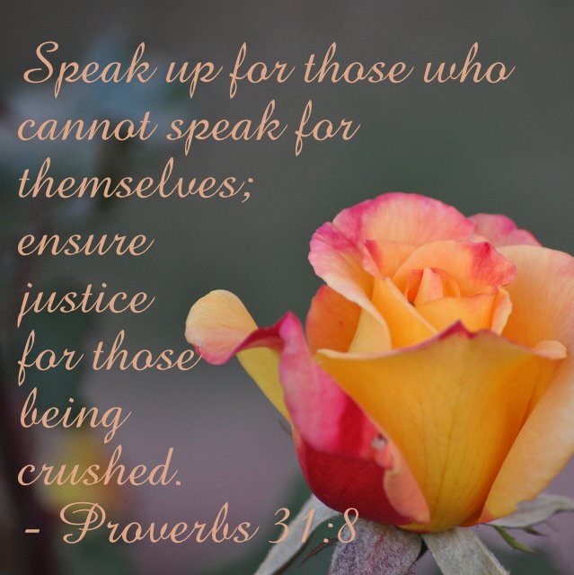 Words for Inspiration – Proverbs 31:8