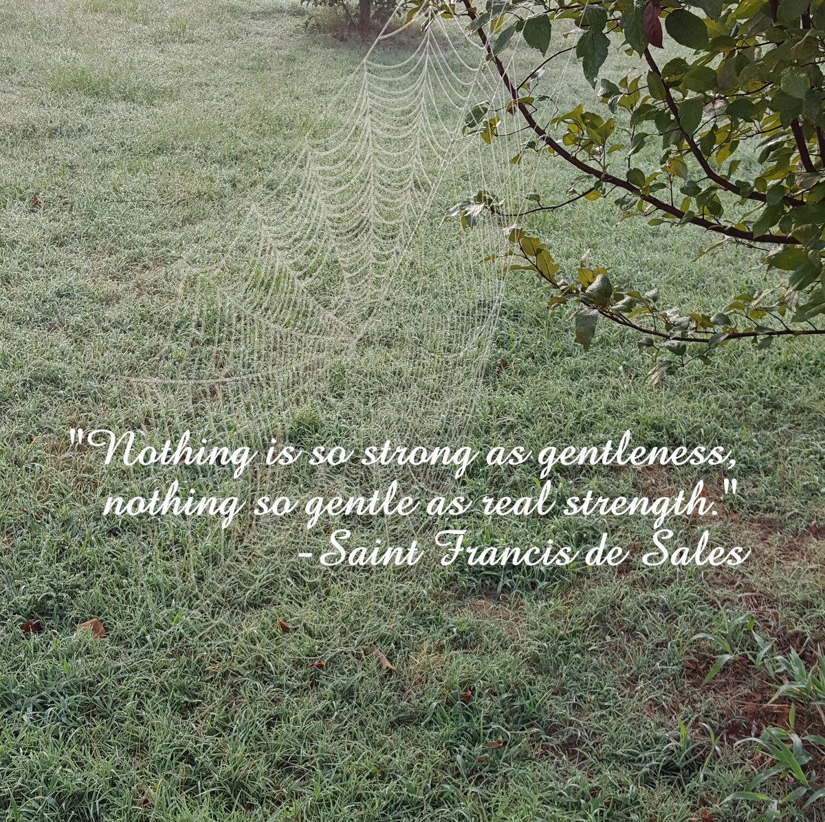 Words for Inspiration – Sales Quote