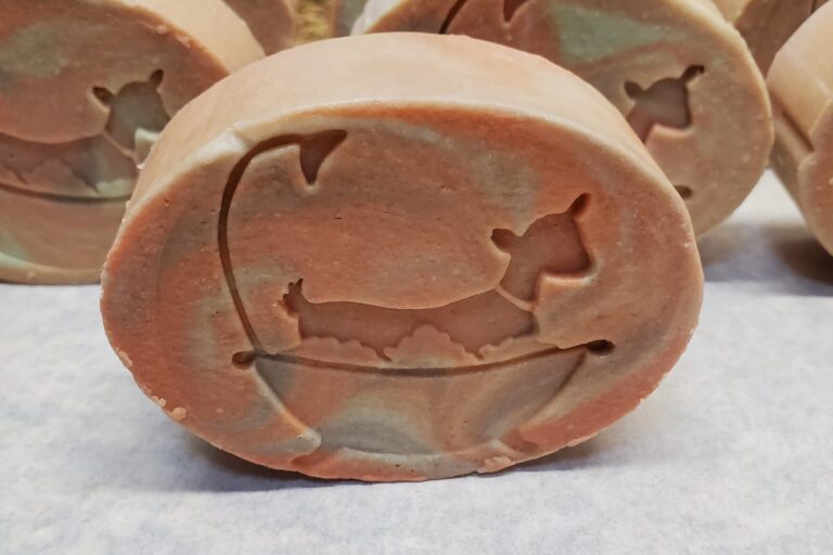 Photo of single bar soap.