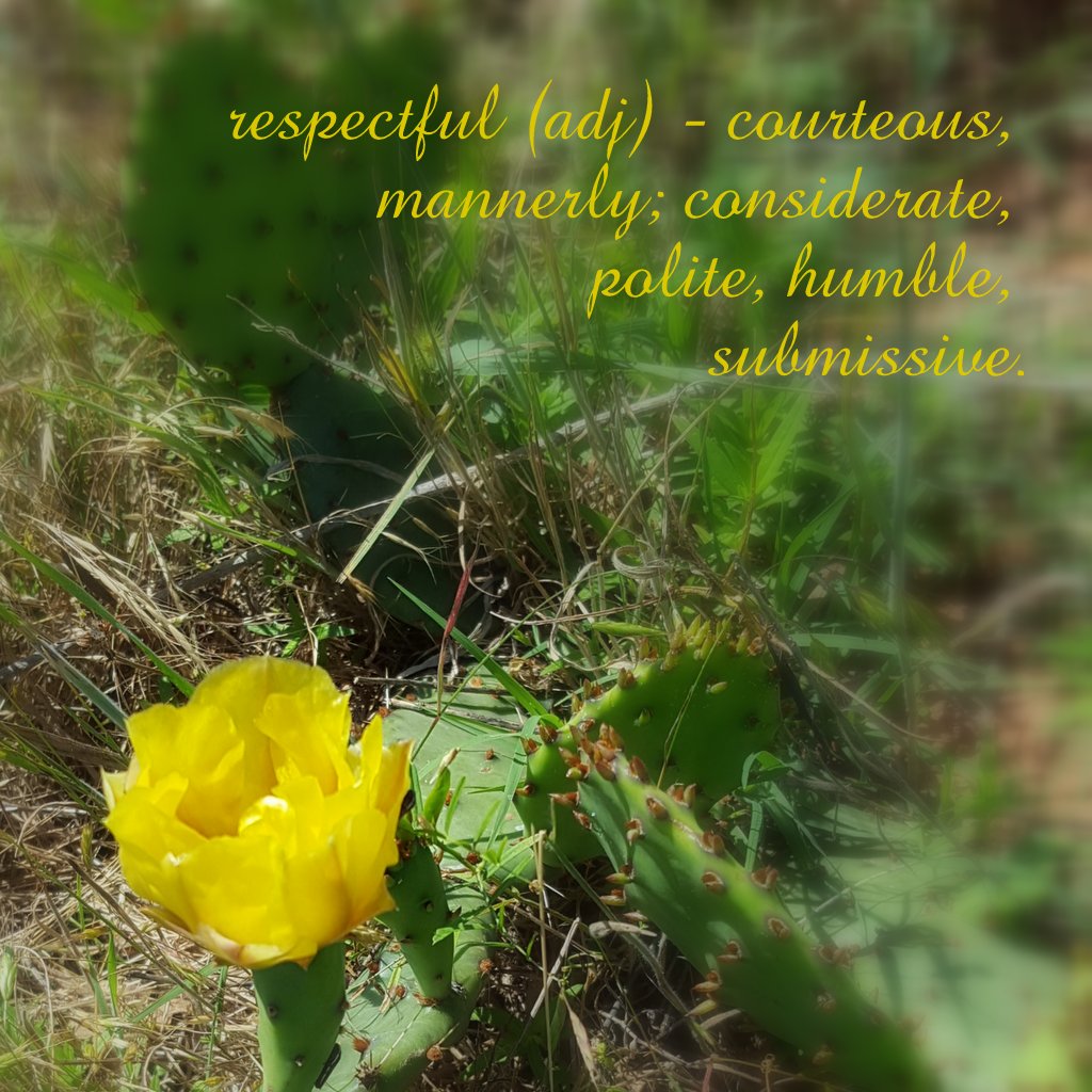 Words for Inspiration – Respectful