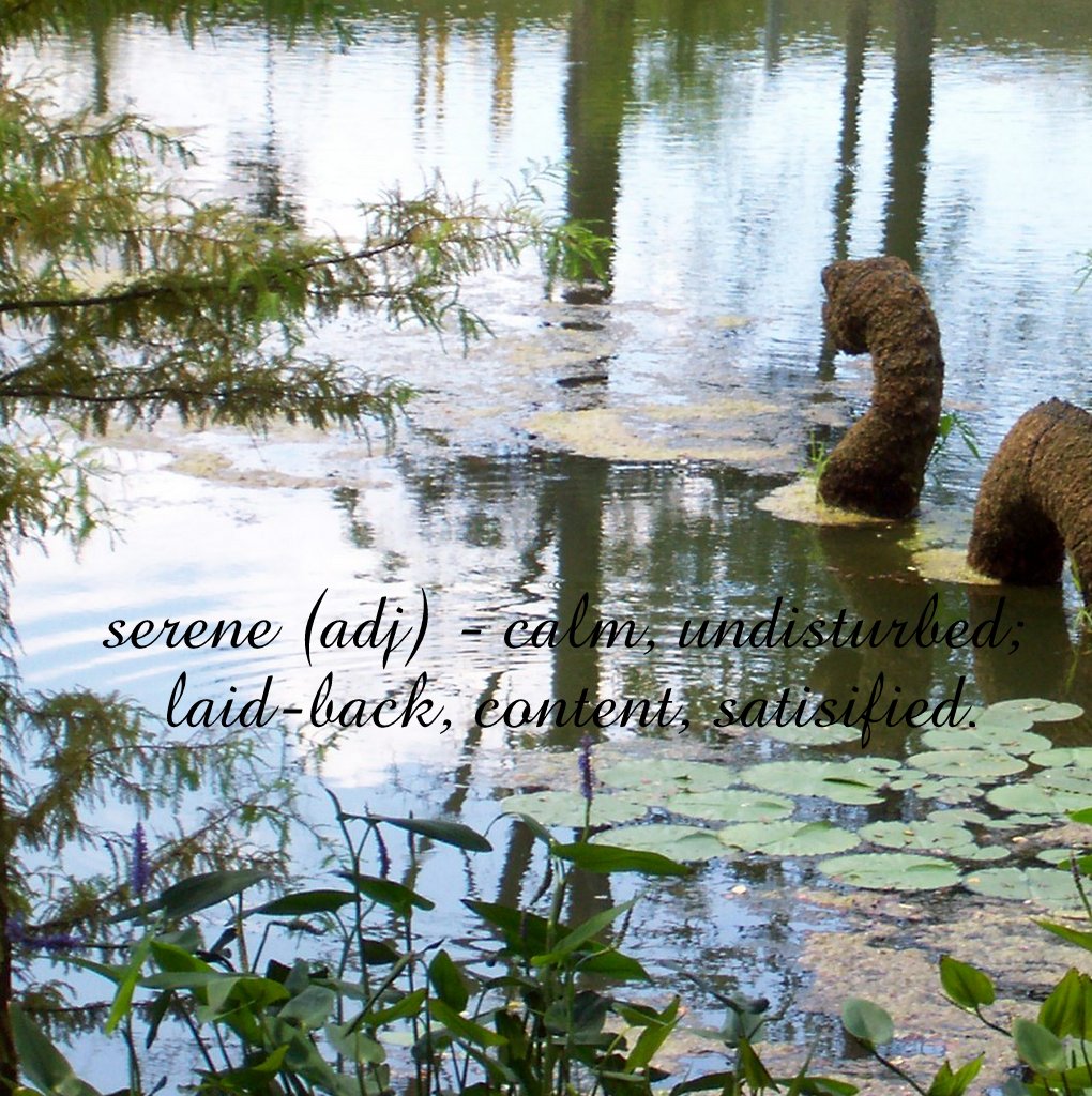 Words for Inspiration – Serene